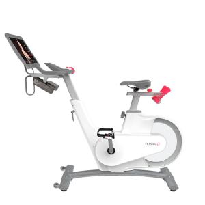 Купить Велотренажер Yesoul BV1-W PLUS в Дубне 